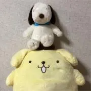 クッキー