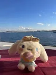 ぶんたんの画像