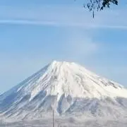 かつどんの画像