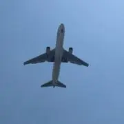 小松の画像