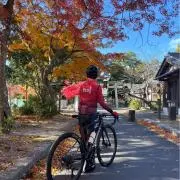 cumicoの画像