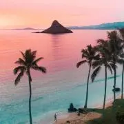 hawaiilvの画像