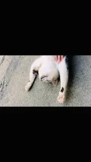yayayaの画像
