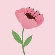 ハナコの画像