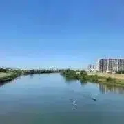れじんこの画像