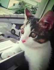 ボノロン