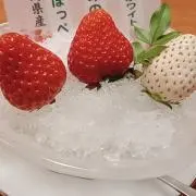 rionの画像