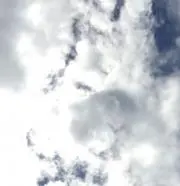 ホワイト