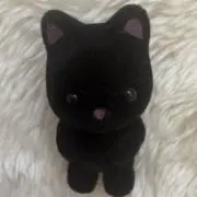 쿠쿠냥⭐︎の画像
