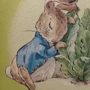 cottontailの画像