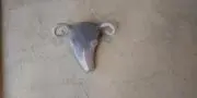 irukaporukaの画像