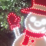 たまご