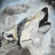 オオカミ