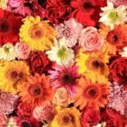 ☆Ｋ 【おまとめ買い大歓迎】の画像
