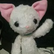 こっこ