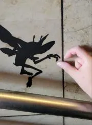 イツカの画像