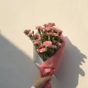 Kの画像