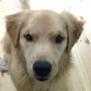 よふ