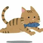 doraねこの画像