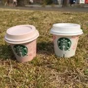 sakuraの画像