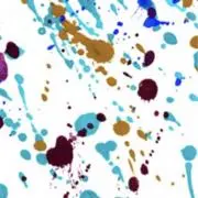 菜花の画像