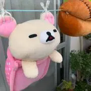 Midiosの画像