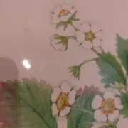 しろの画像