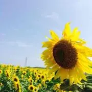 もぐの画像
