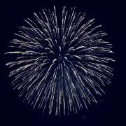 ばすけーたの画像