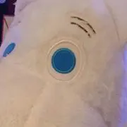 杏の画像