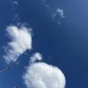 ぱんだの画像