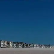 アゲハの画像