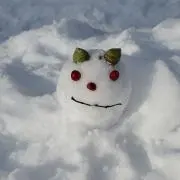 ナポの画像