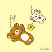 kumakumaの画像