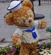 mapyyの画像