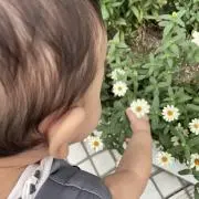 リオの画像