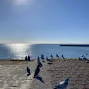 GreatFisの画像