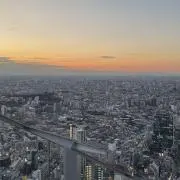 オルトモア 23年 海外免税店限定 - メルカリ
