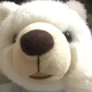登梛