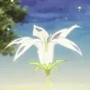 DBの画像