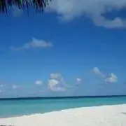 mi-kaの画像