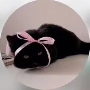 nic♥の画像
