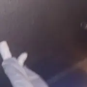 よんの画像