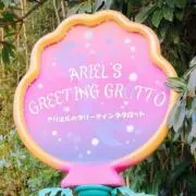 アリエルの画像