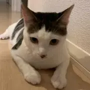 ユキ