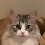 いっくん
