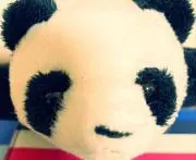 あきちゃんの画像