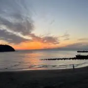 たーぼーの画像