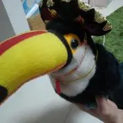 オオハッシーの画像