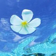 マイキー ☆プロフ必読☆